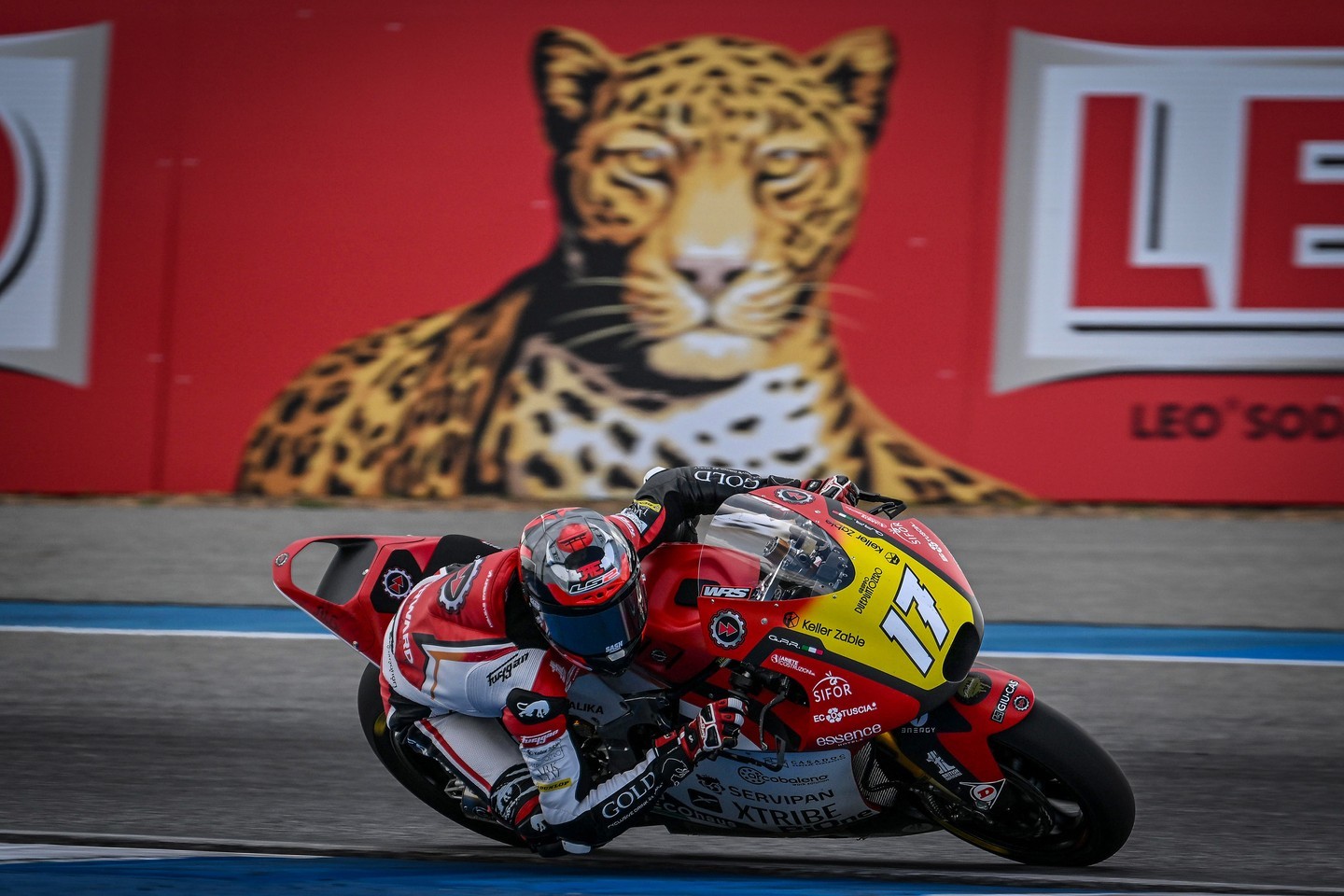 TERMINATO IL GP DI THAILANDIA PER IL FORWARD TEAM - Link in Bio